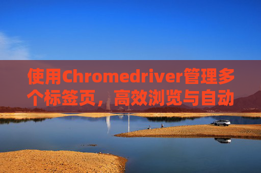 使用Chromedriver管理多个标签页，高效浏览与自动化操作的秘诀